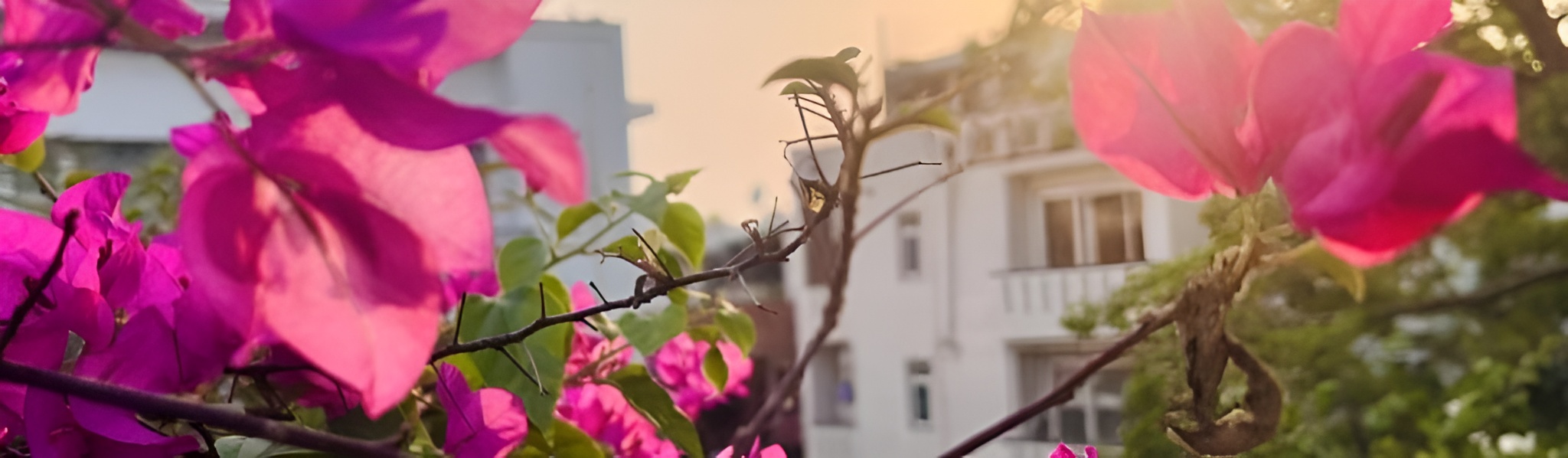 Mindful stays and yoga retreats in South Delhi