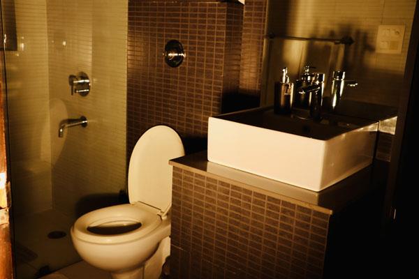 Ensuite Bathroom Standard Room